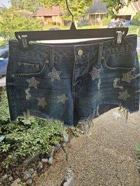 Project Indigo Distressed Jean Shorts